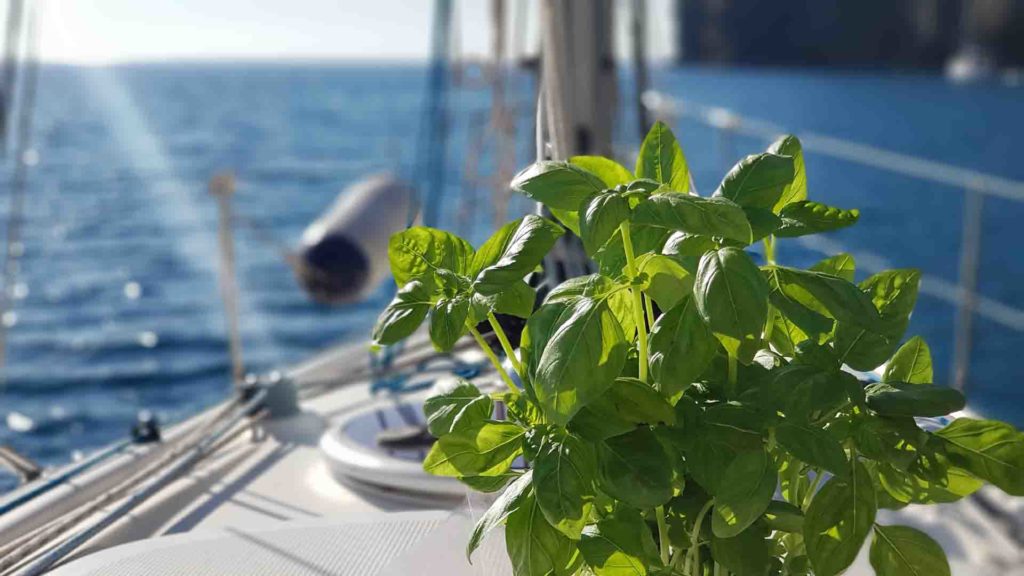 Isola D'Elba crociera di una settimana: Lavagna, Portovenere, Capraia Esperienze Di Vela